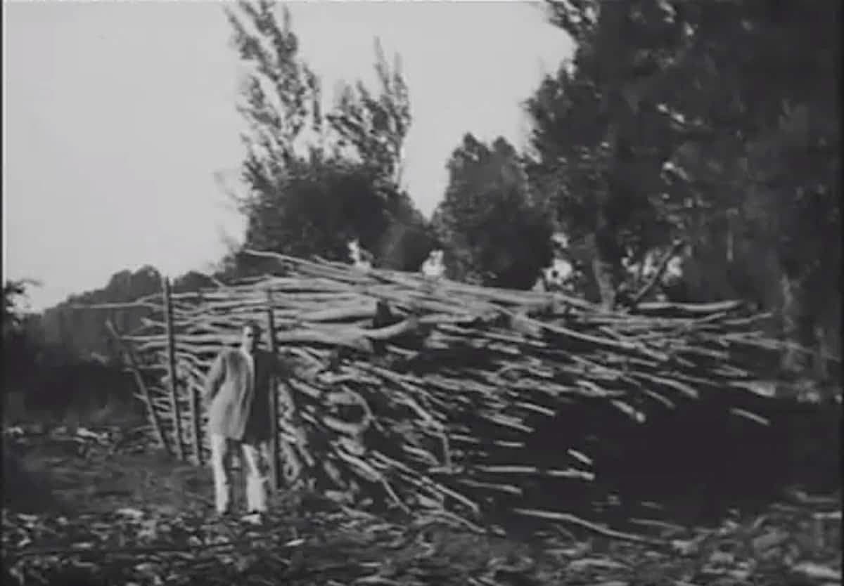 Collecting wooden poles for use as supports in León’s first hop fields, showing the practical work behind the region’s early hop cultivation